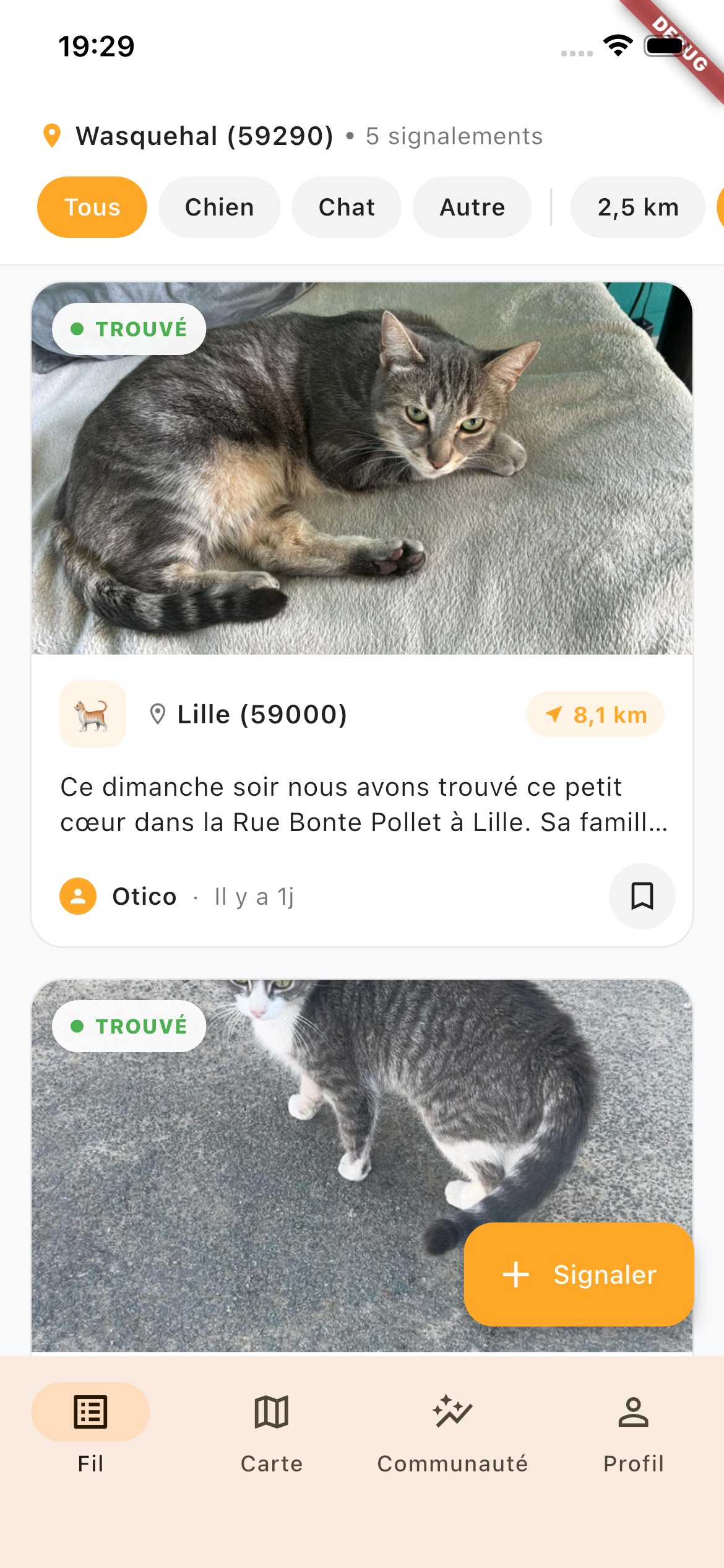 Otico - Feed des observations